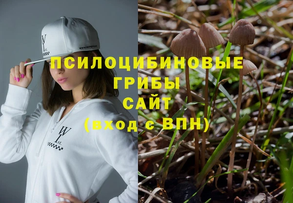 дживик Горно-Алтайск