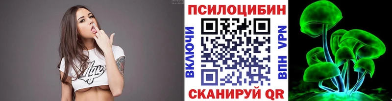 где купить   Далматово  Галлюциногенные грибы мицелий 