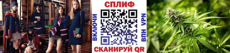 Шишки марихуана MAZAR  OMG онион  Далматово  что такое наркотик 